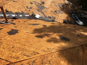 Shingles Works-12